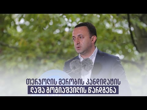 თერჯოლის მერობის კანდიდატის ლაშა გოგიაშვილის წარდგენა